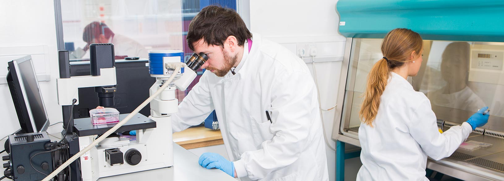 Students in laboratory Students in laboratory