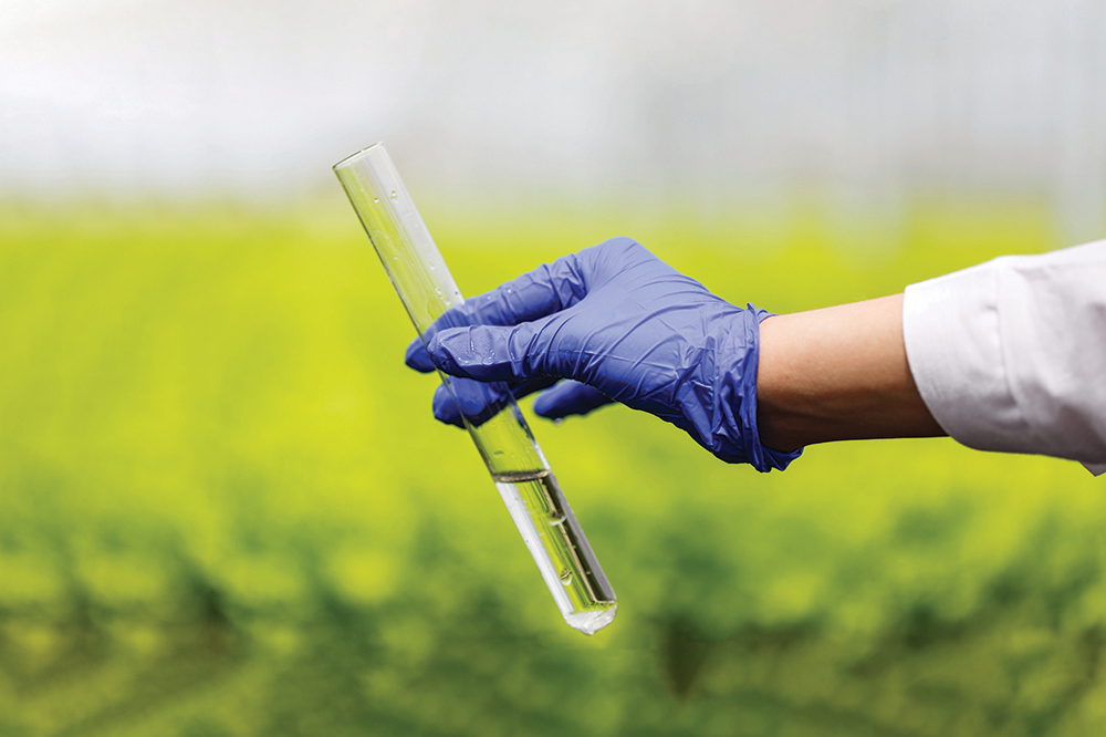 Test tube with water in it held by a gloved hand Test tube with water in it held by a gloved hand