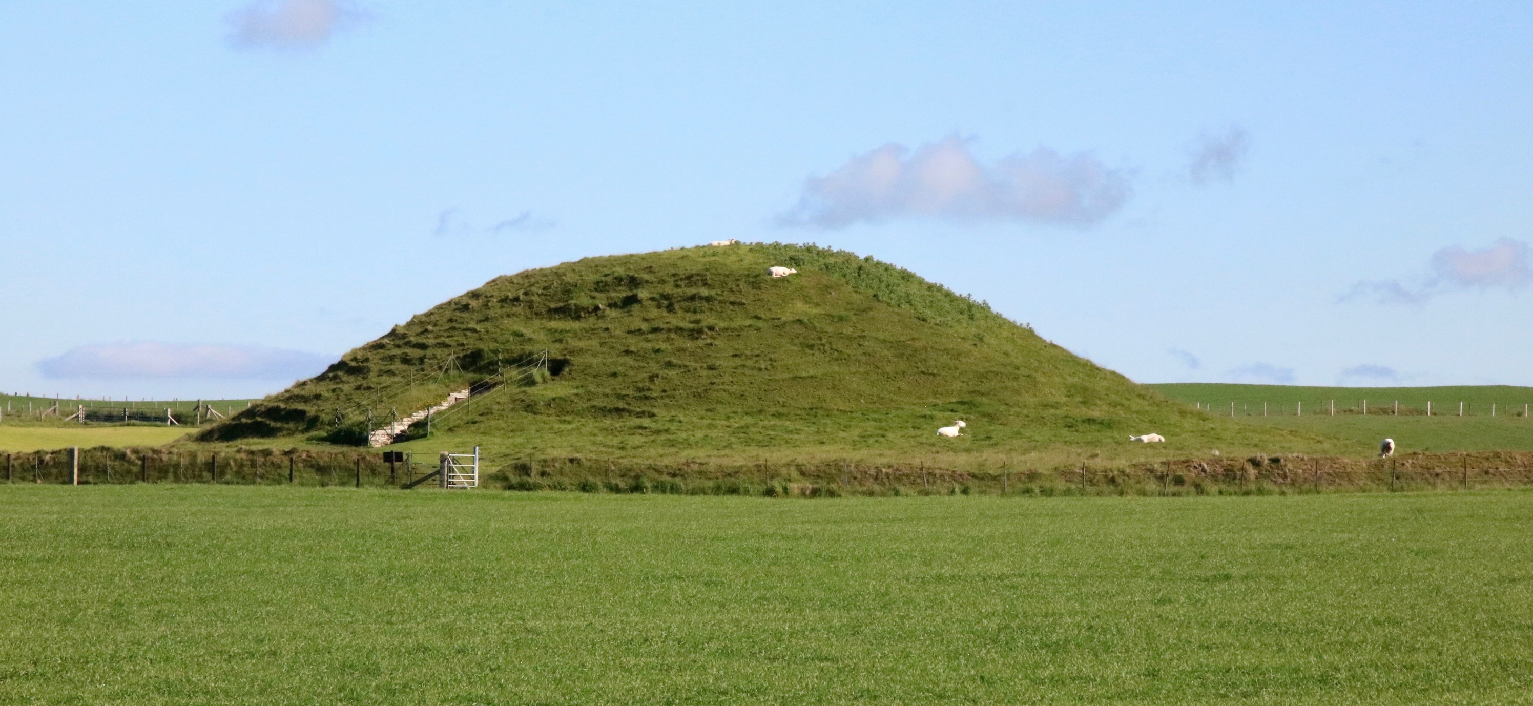 Stenness, Scotland, September 7 June 2019, credit Ms. van der Reijden Stenness, Scotland, September 7 June 2019, credit Ms. van der Reijden