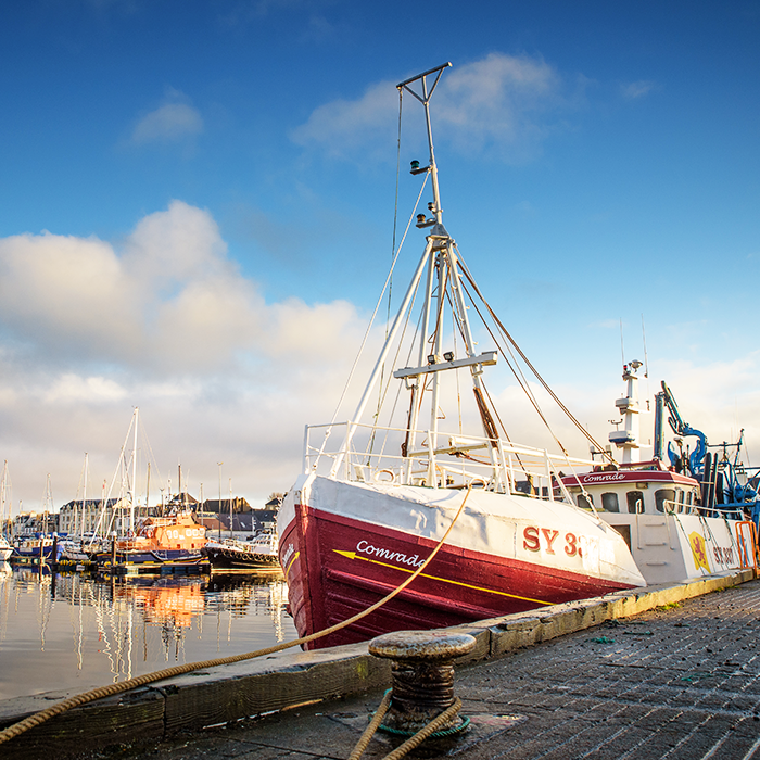 A moored boat A moored boat