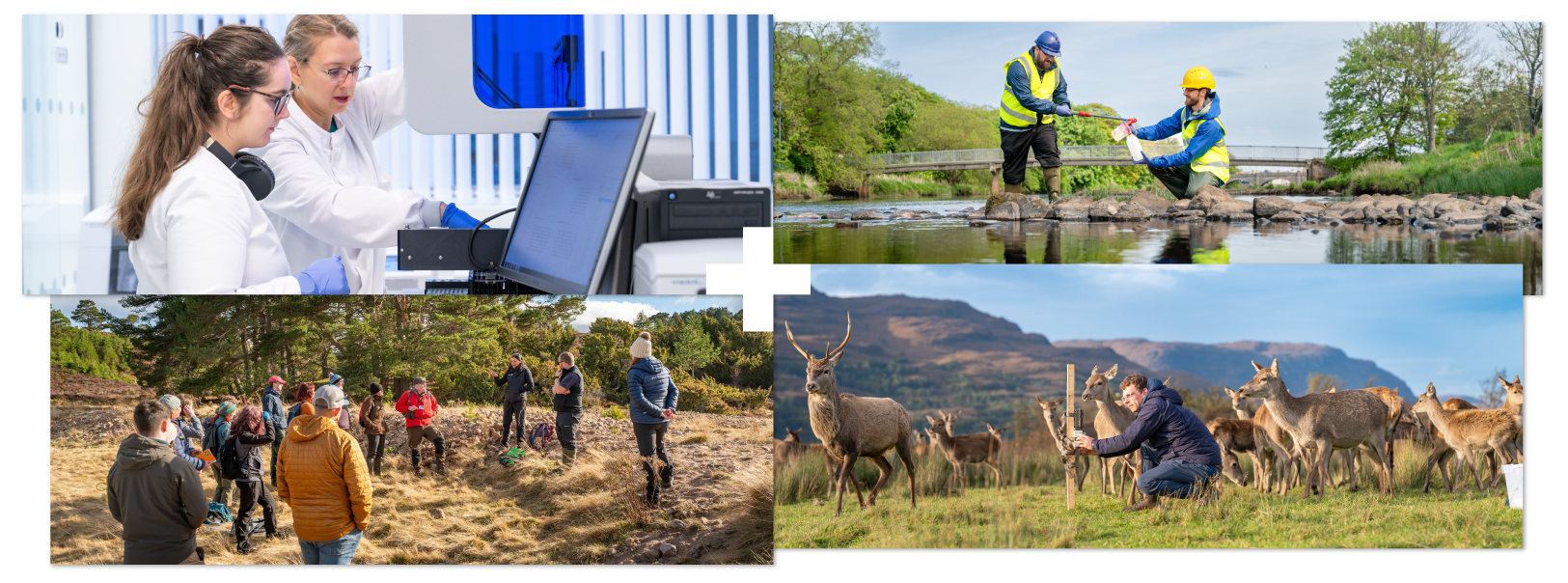 Two people using research equipment | Two people taking a water sample from a river | Group of people standing in peatland | Person in a field with herd or deer