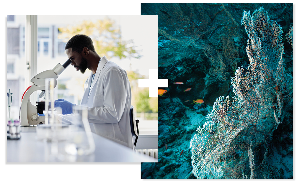 Collage of 2. A student working in a laboratory and an image of coral in the sea Collage of 2. A student working in a laboratory and an image of coral in the sea