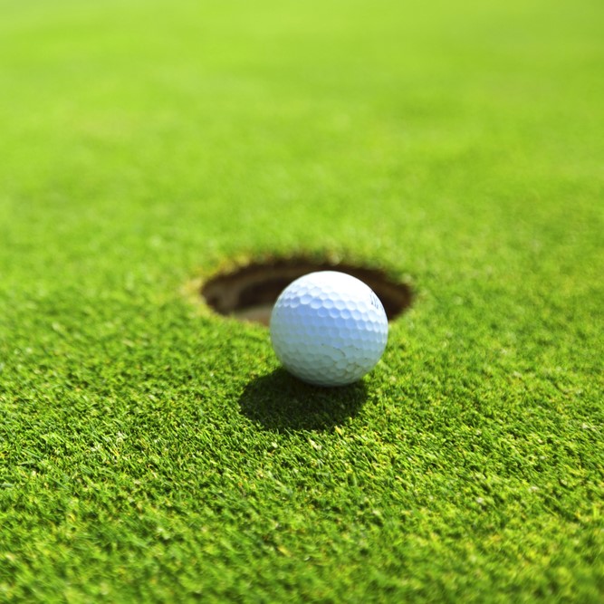 Golf ball on a putting green Golf ball on a putting green
